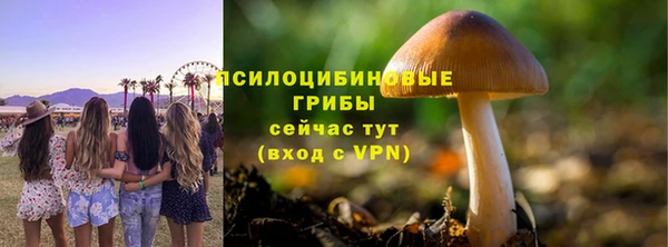 соль курить ск Аркадак
