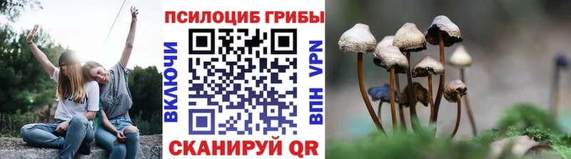 закладка Нижняя Салда Псилоцибиновые грибы мухоморы